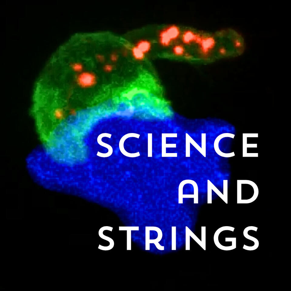 Science and Strings